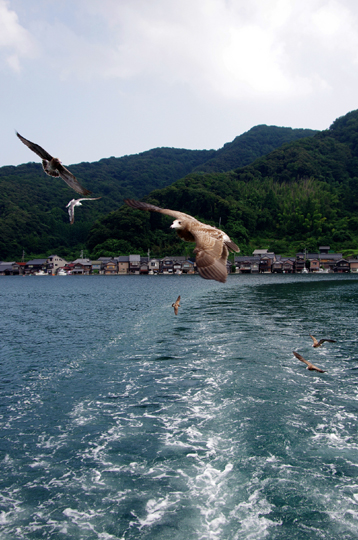 2013年夏　伊根観光船