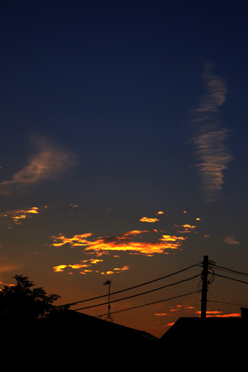 黄金色の雲が浮かんでいました。