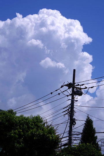 台風一過の今朝の空です。