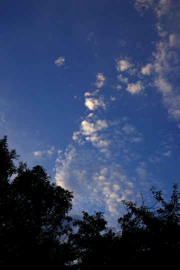 ゲラを戻しに行ったヤマト運輸センターの空。