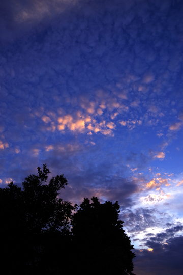 夕暮2018.7.10_2