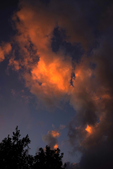 昨日の夕雲です。