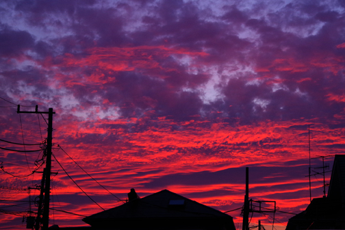 すごくきれいな夕空でした。