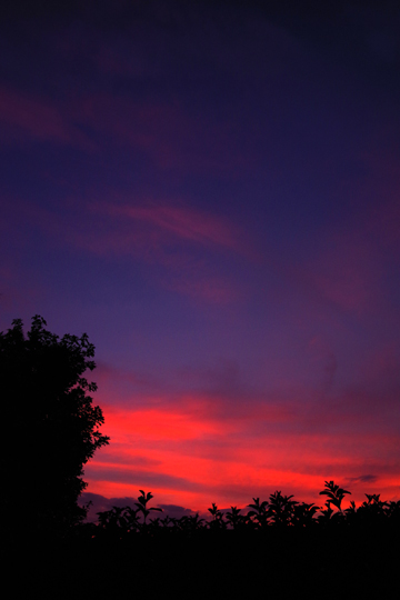 夕空2018.8.11_2