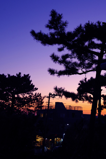 澄んだ西南の空が心に沁みました。