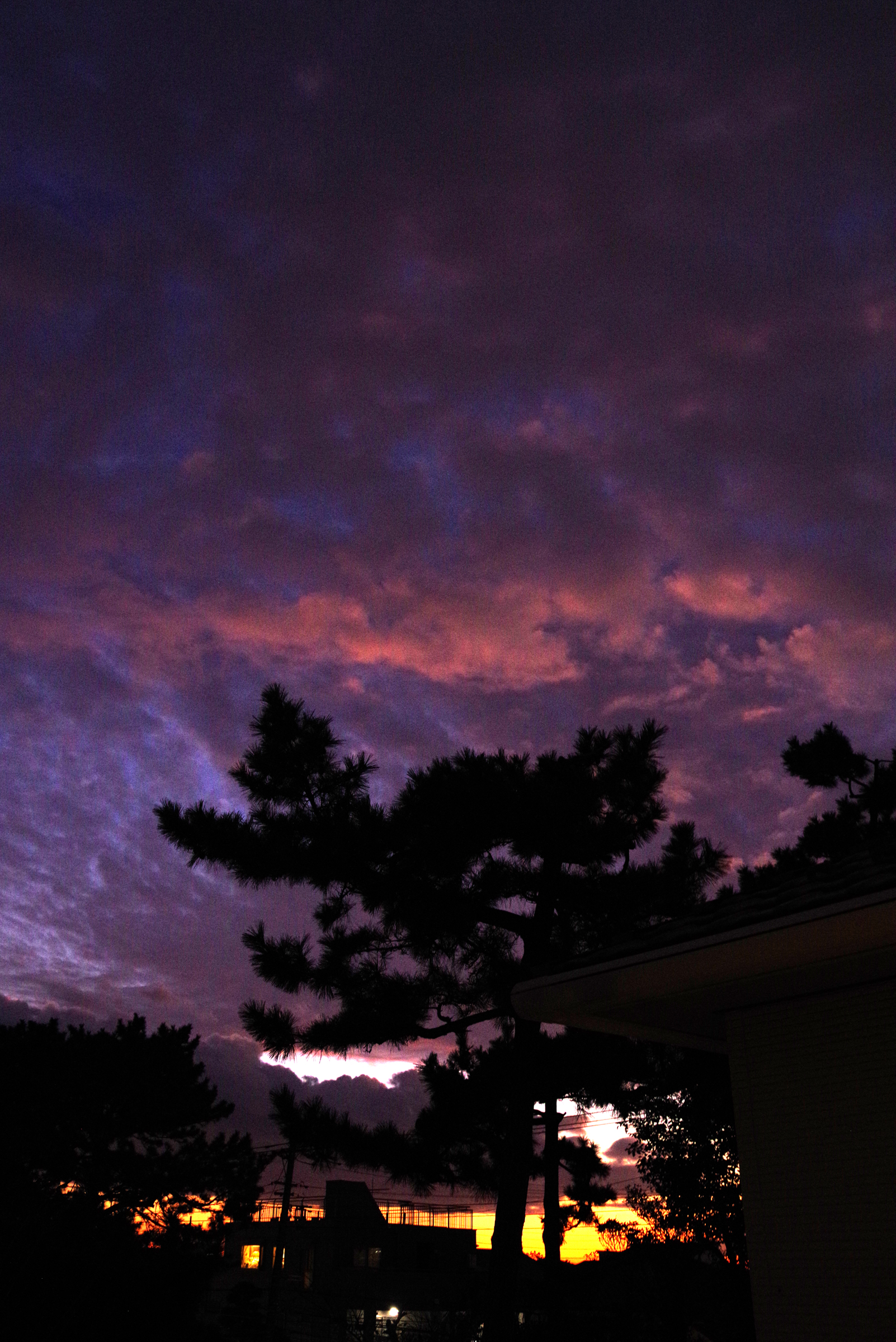 夜光雲を撮りたいと思ったんですが……。