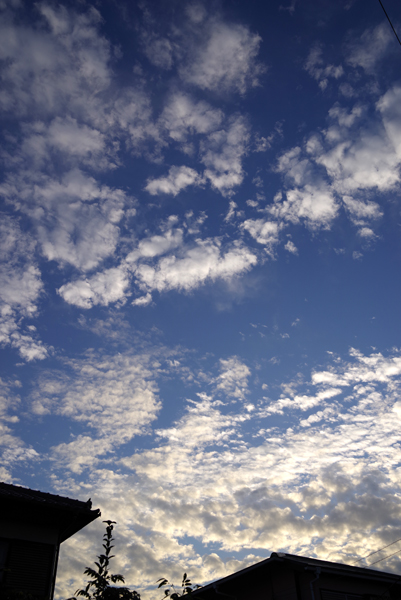 朝の空