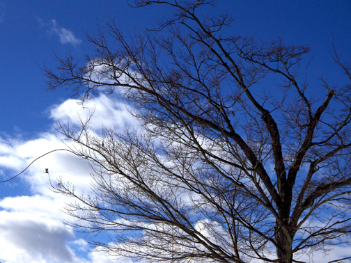 冬空