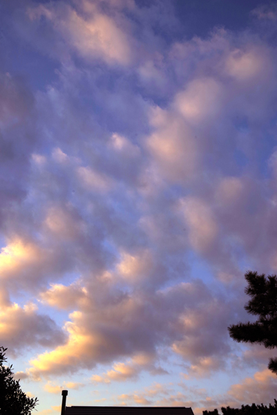 今朝の空