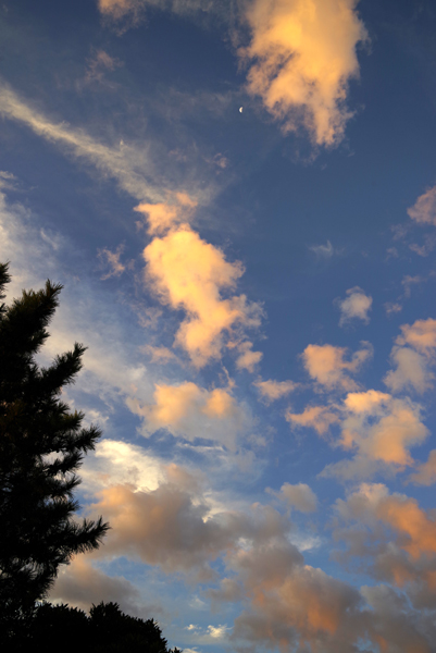 朝空