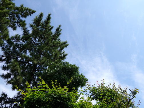 晴れ空