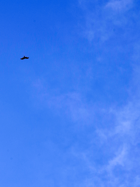 青空