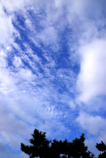 朝空