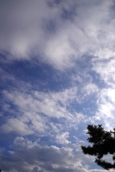 つかの間の青空