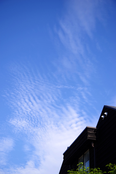 うろこ雲がきれいです。