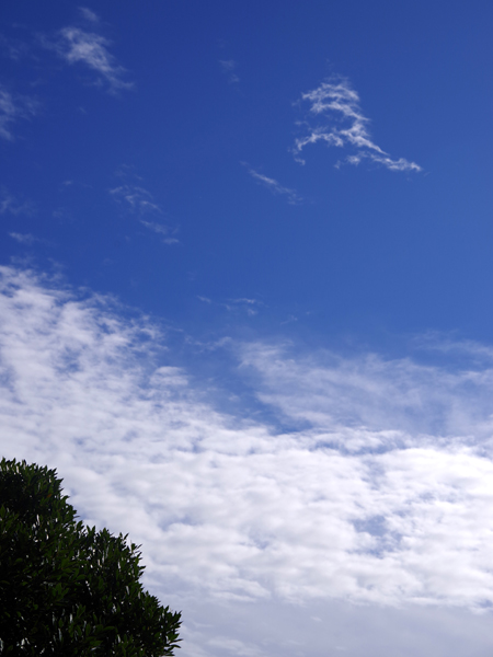 青空