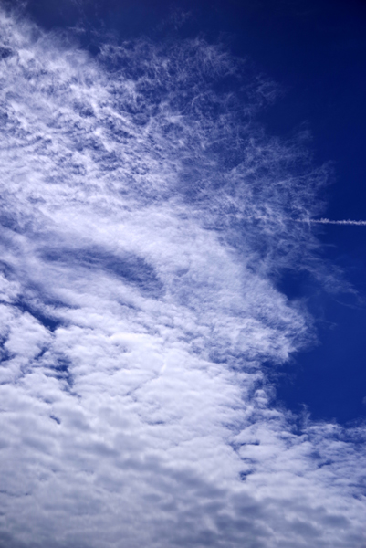 今日の空