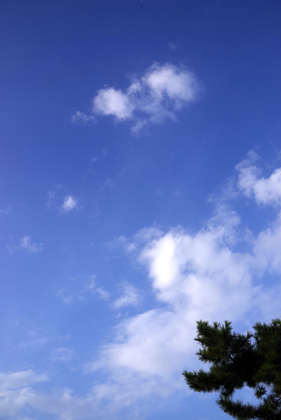 青空がひろがっています。