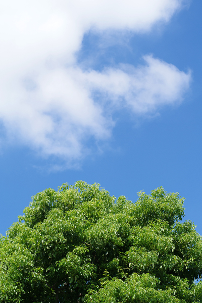 青空