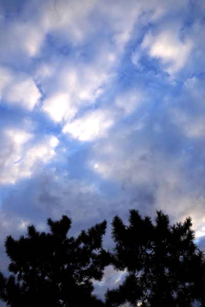 雲が晴れそうな空模様です