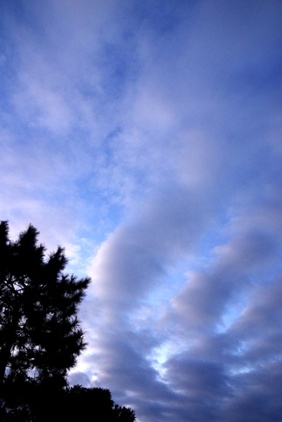 朝空