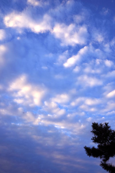 朝空