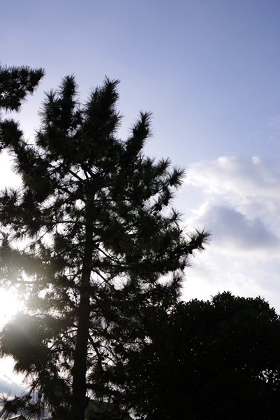 朝空