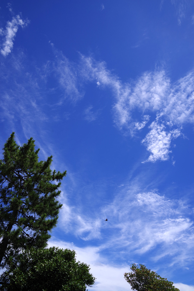 青空がひろがっている茅ヶ崎です。