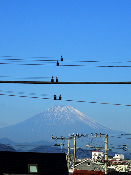 電線富士がよく見えています。