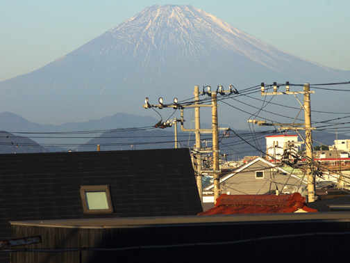 今朝の電線富士です。