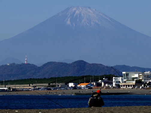 海まで行ってきました。