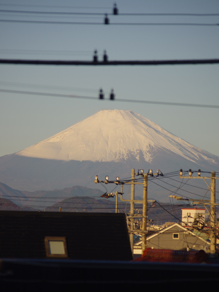 今朝の電線富士です。