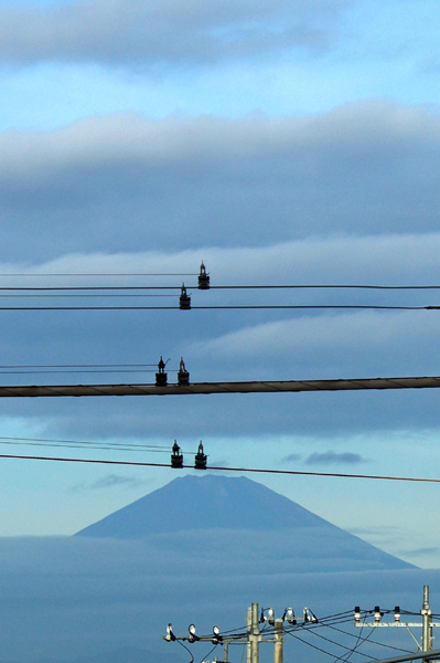 やっぱり富士山でした。