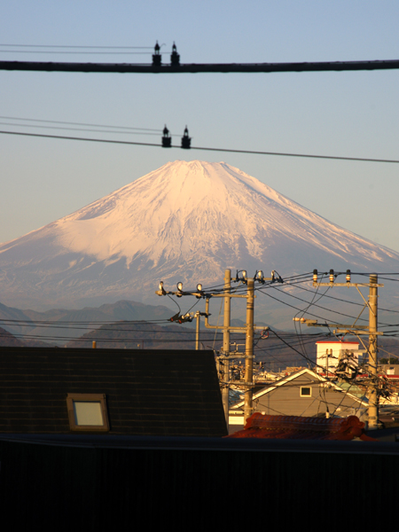 今朝の電線富士です。