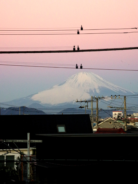 今朝の電線富士。