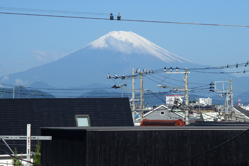 いいお天気になりました。