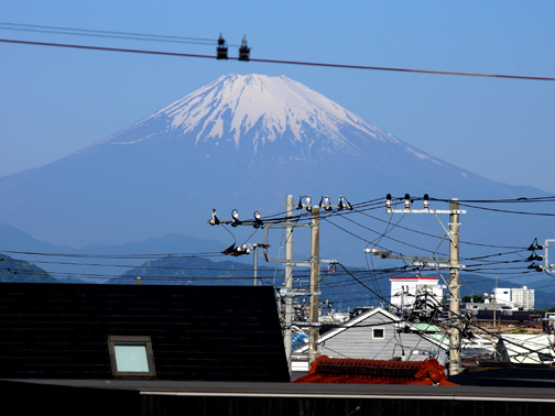 電線富士もきれいです。