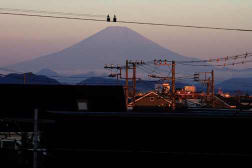 今朝は空気が澄んでいます。