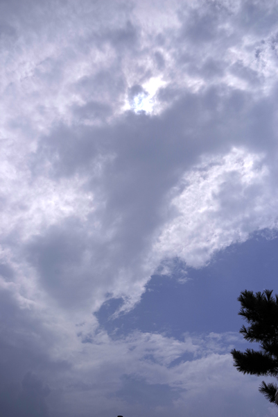 青空が出ましたが……。