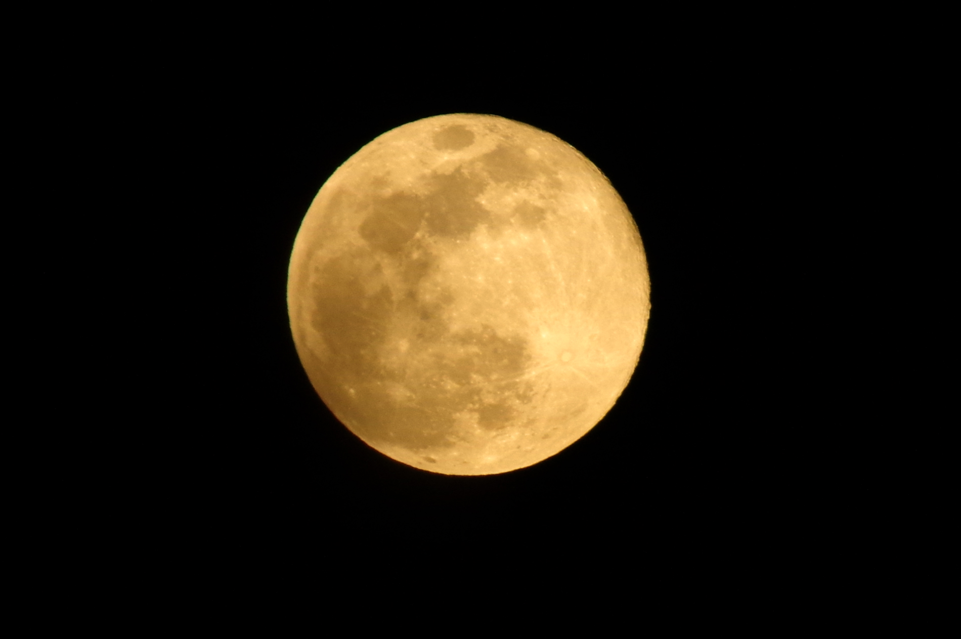 今宵の十六夜月。