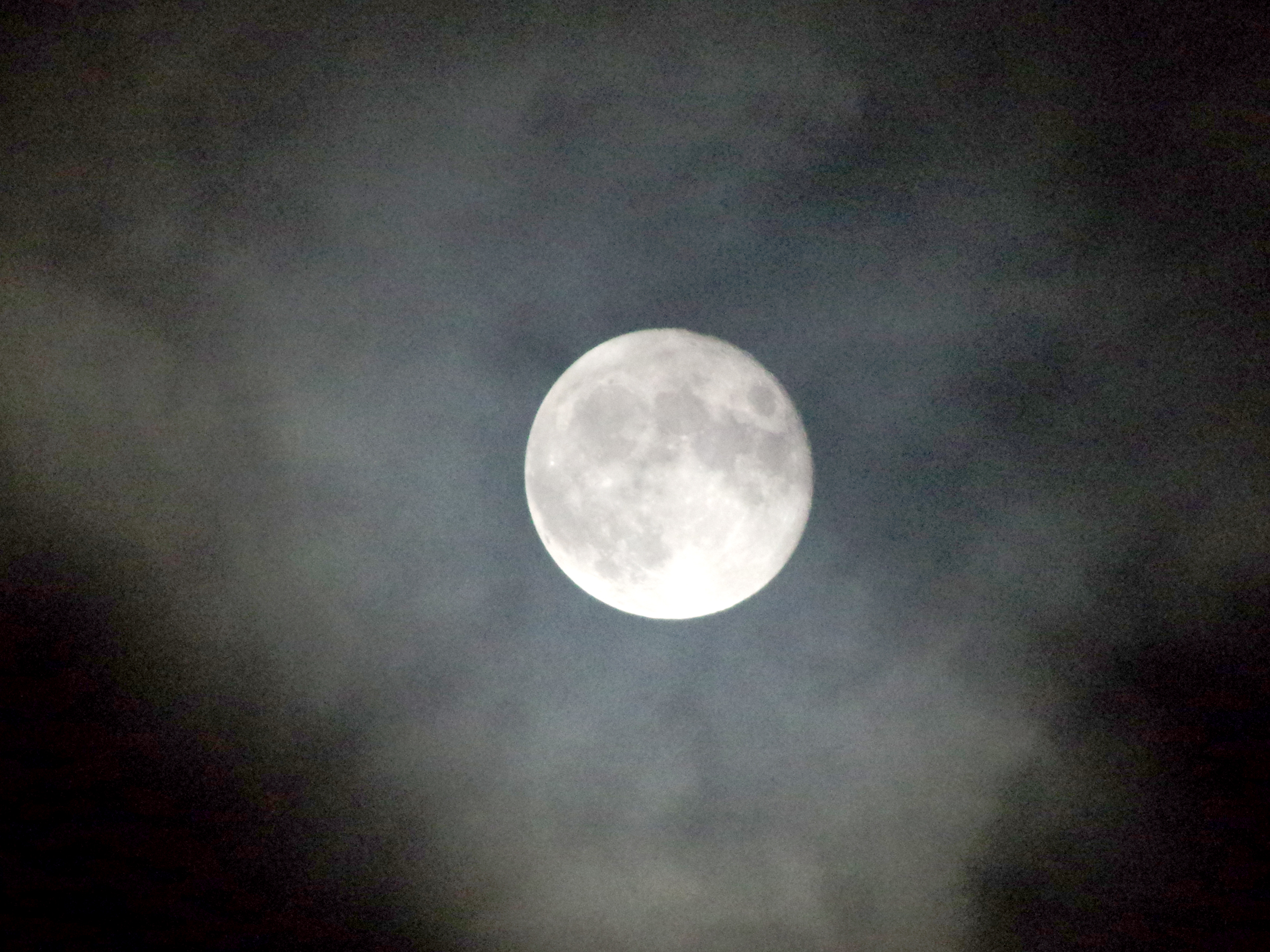 今宵の十六夜月。