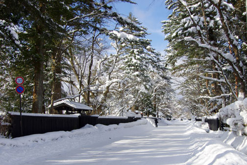 茅ヶ崎では雪は降りませんでした。