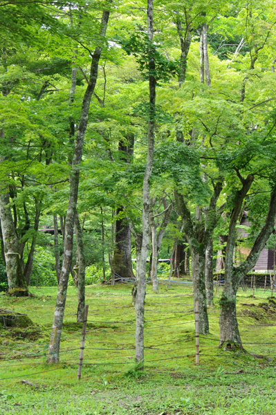 軽井沢