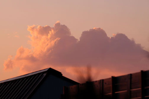 今朝の東空