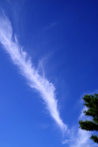 不思議な雲がでいます。