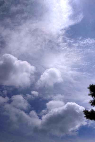 雰囲気のある雲が見えています。