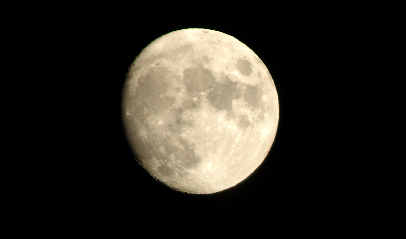 いま撮った栗名月です。