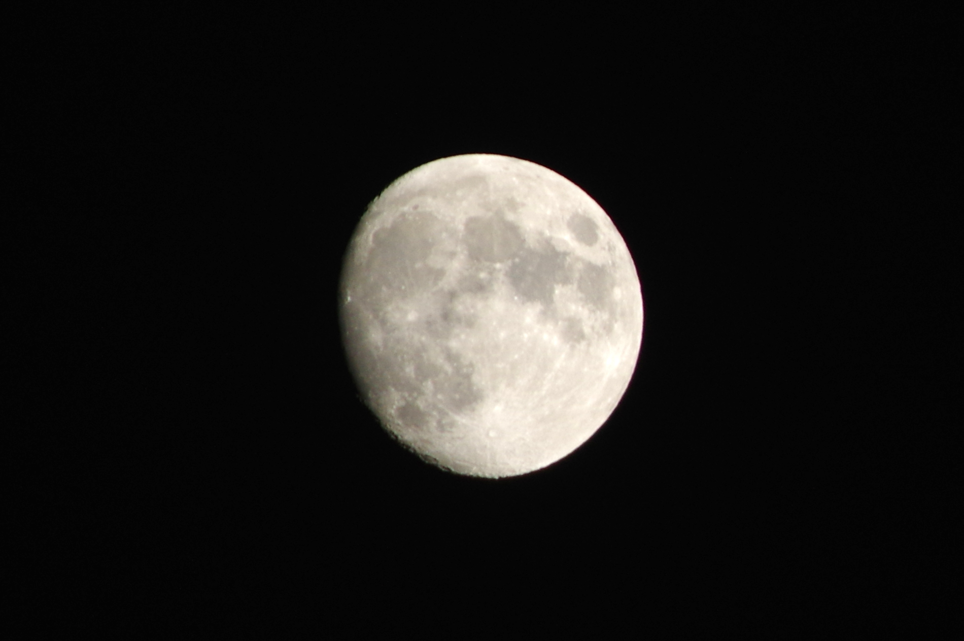 今宵は霜月十三夜です。