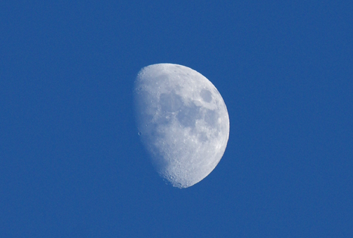 今宵は十日月です。