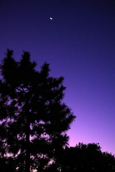 朝空